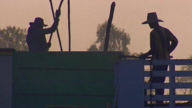 Farm workers, in silhouette