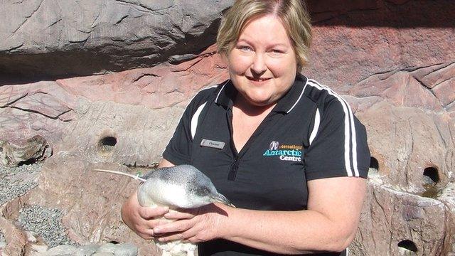 Dianne Lim holding a penguin at the International Antarctic Centre