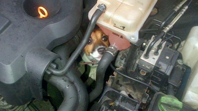 Betty Boop in car engine