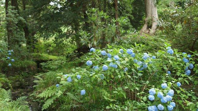 Gerddi Bodnant