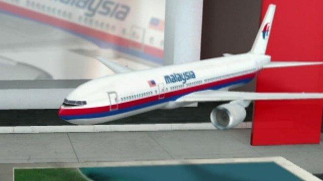 A graphic image of the Malaysian airliner