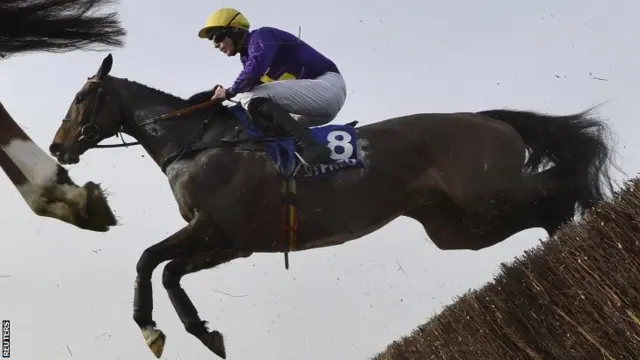 Gold Cup winner Lord Windermere