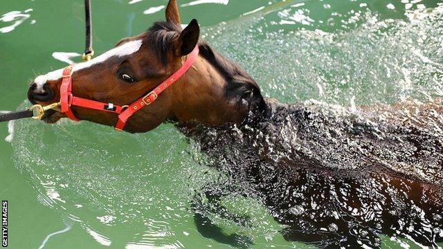 A horse exercises in a swimming pool at Jonjo O'Neill's yard in Gloucestershire