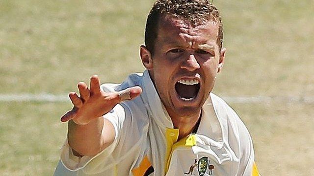 Peter Siddle