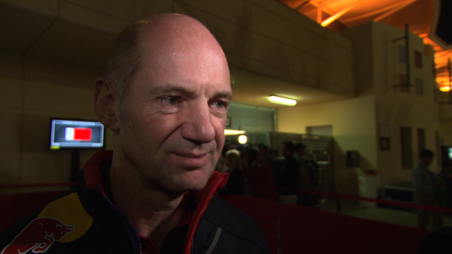 Red Bull Racing's Chief Technical Officer Adrian Newey says Formula 1's new regulations for 2014 are "questionable".