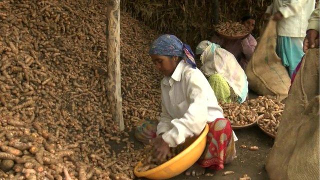 People working on farm