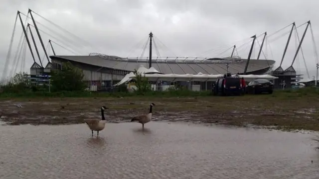 Etihad ducks