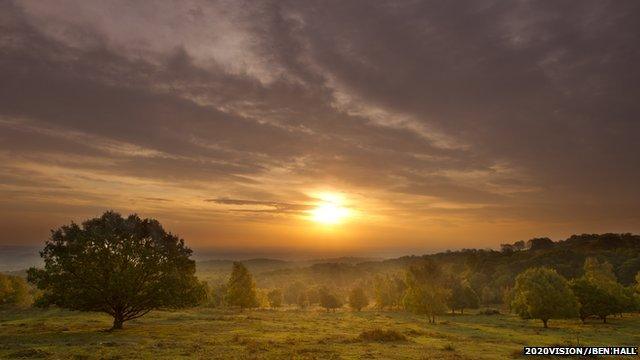 Beacon Hill, Leicestershire