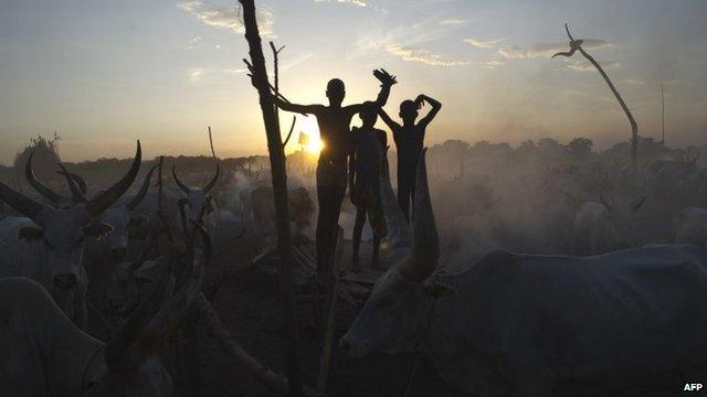 Children with cattle