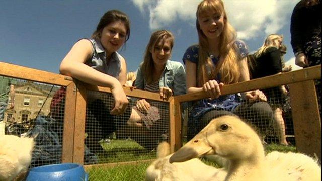 students with ducklings