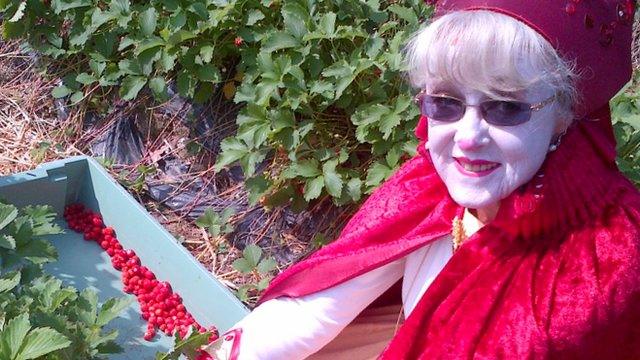 woman strawberry picking