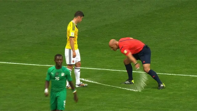 Howard Webb sprays the pitch