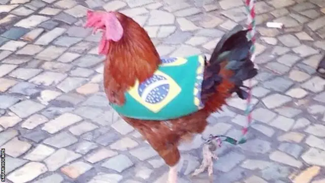 Chicken in Brazil