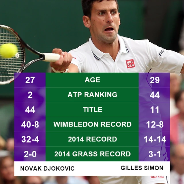 Djokovic graphic