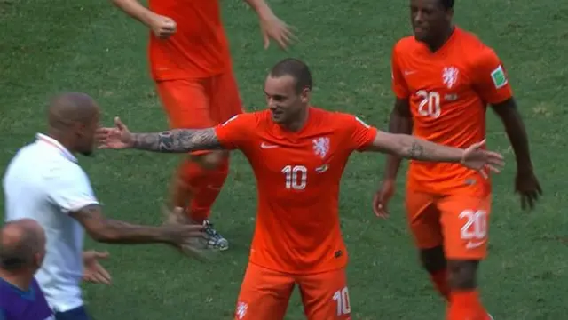 Wesley Sneijder celebrates