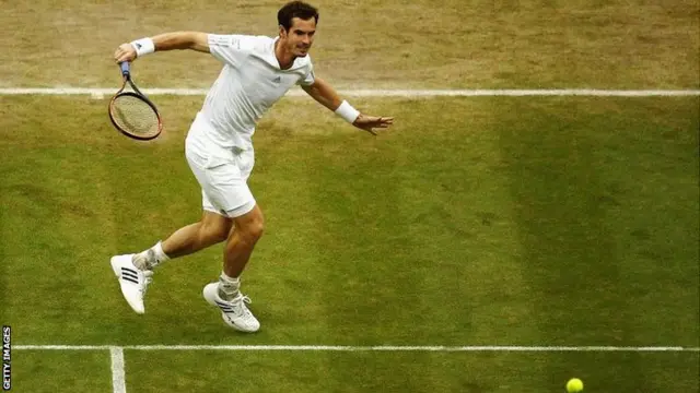 Andy Murray at Wimbledon