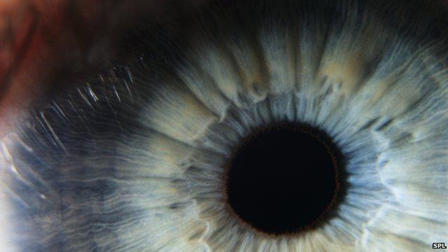 The cornea is the transparent outermost covering of the eye