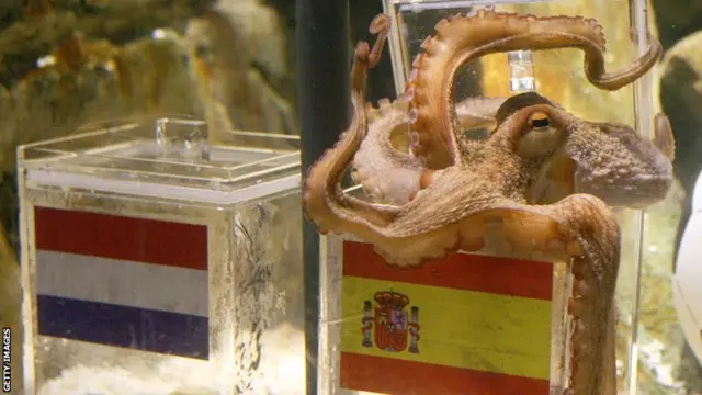 Paul the Octopus