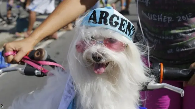 Dog wearing an Argentina bandana and pink sunglasses on a bike