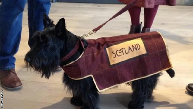 Scottie Dog