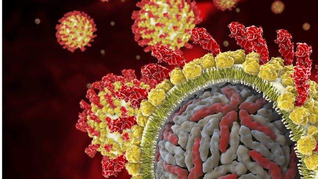 illustration of virus in blood