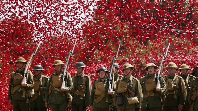 Members of the Great War Society surrounded by poppies