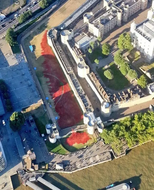 Poppies at the Tower of London