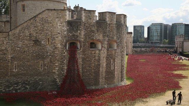 Ceramic poppies at the Tower of London