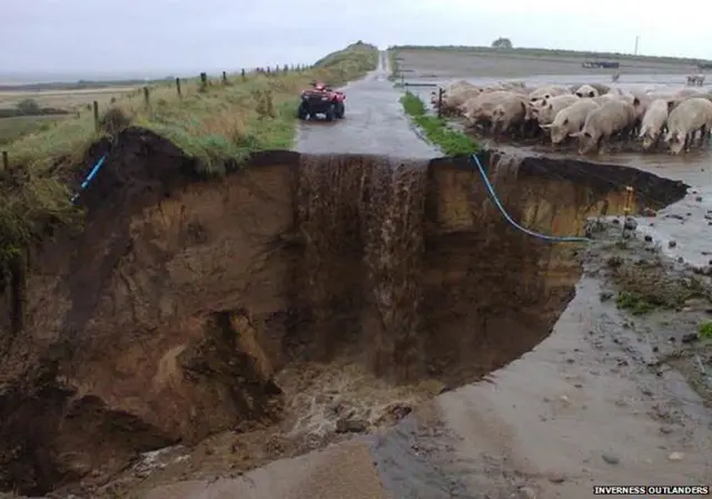 Pigs avoid landslide