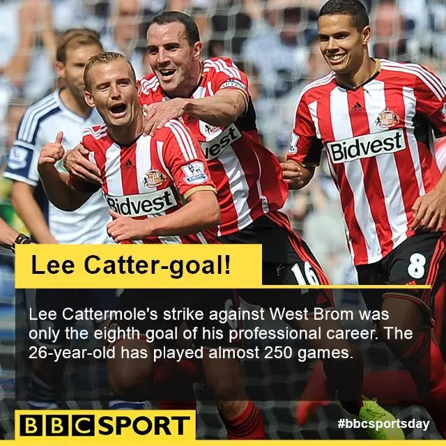 Lee Cattermole