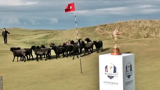 Ryder Cup trophy tour