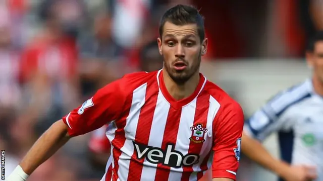 Southampton's Morgan Schneiderlin