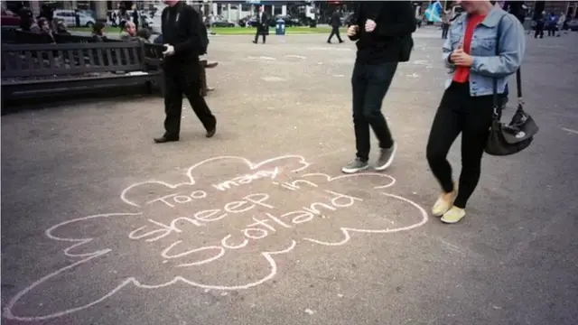 'Too many sheep in Scotland' chalked on pavement in Glasgow