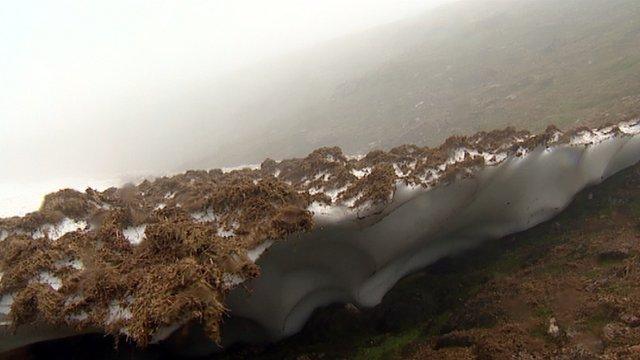 Patch of snow