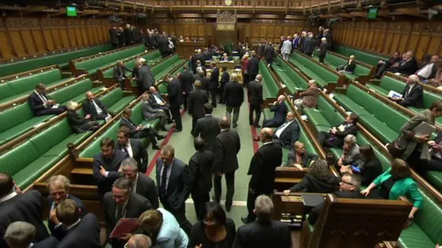 A wide shot of MPs starting to vote