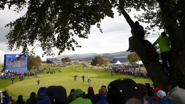 Fans at the Ryder Cup