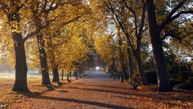 Regents Park in Autumn