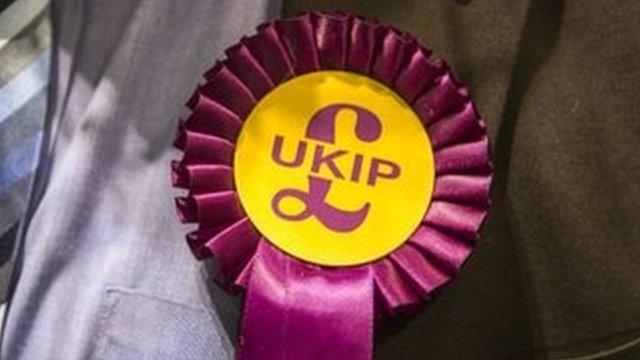 UKIP rosette