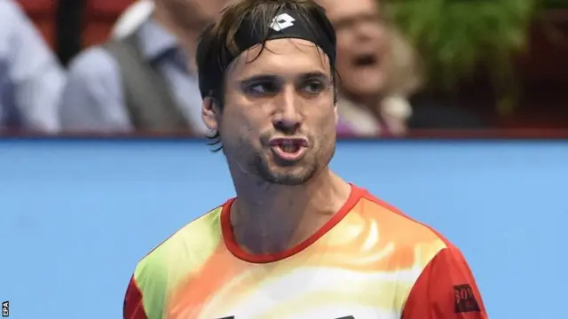 David Ferrer