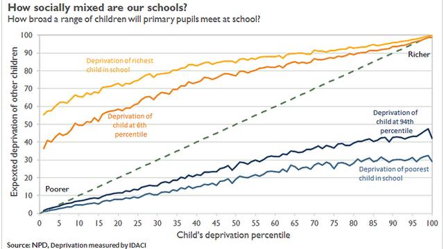 How broad a range of children will primary pupils meet at school?