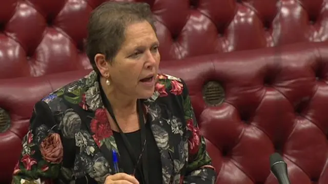 Transport Spokesperson Baroness Kramer