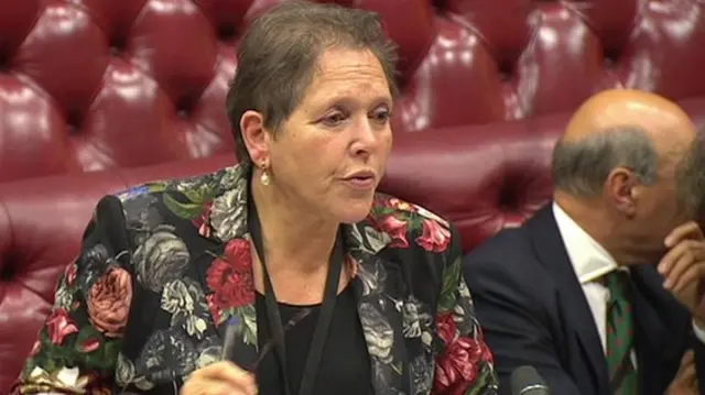 Transport Spokesperson Baroness Kramer