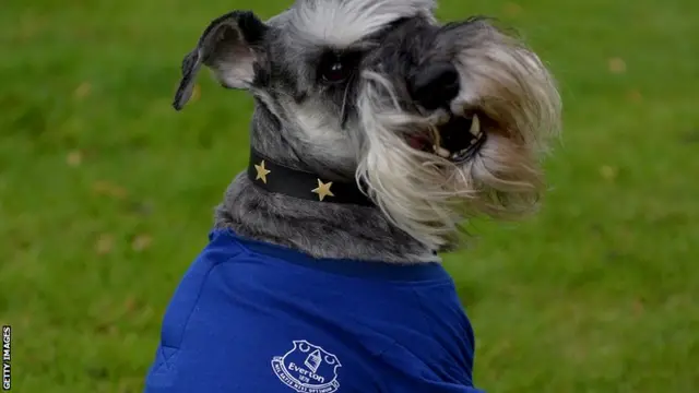 Everton dog outside Turf Moor