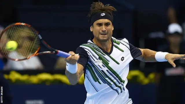 David Ferrer