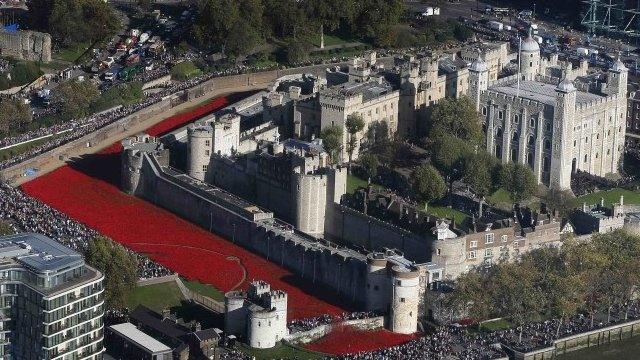 Poppies at the Tower of London