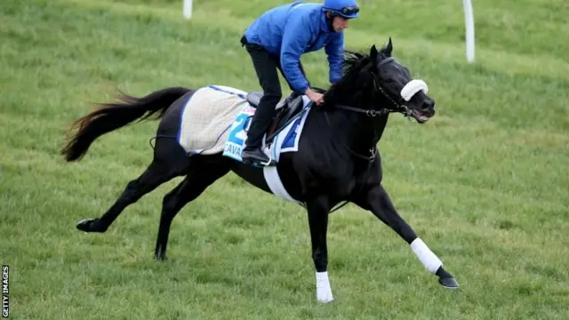 Cavalryman ahead of the Melbourne Cup