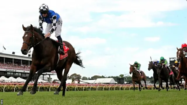 Protectionist wins the 2014 Melbourne Cup