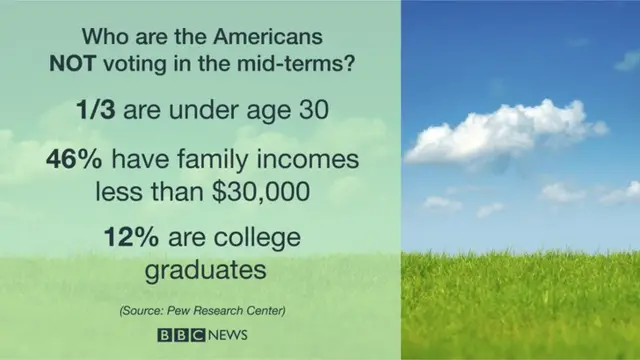 Graphic showing demographics of non-voter