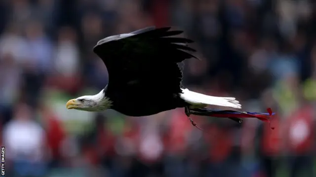 Crystal Palace's masot: a golden eagle