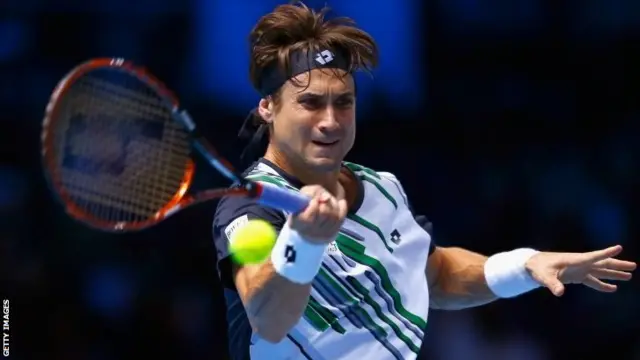 David Ferrer